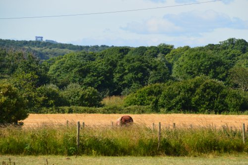 A little bit of the countryside surrounding Whitburn Village.