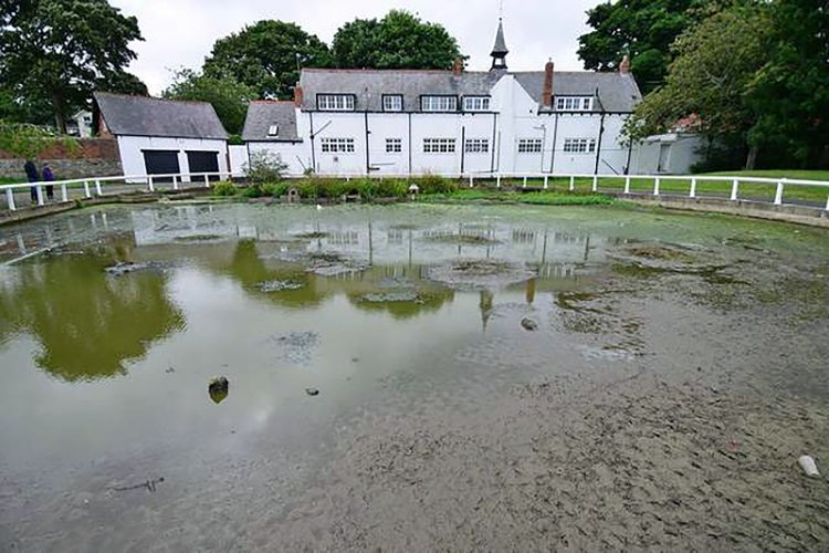 Save our pond – Whitburn residents call on council and community for help